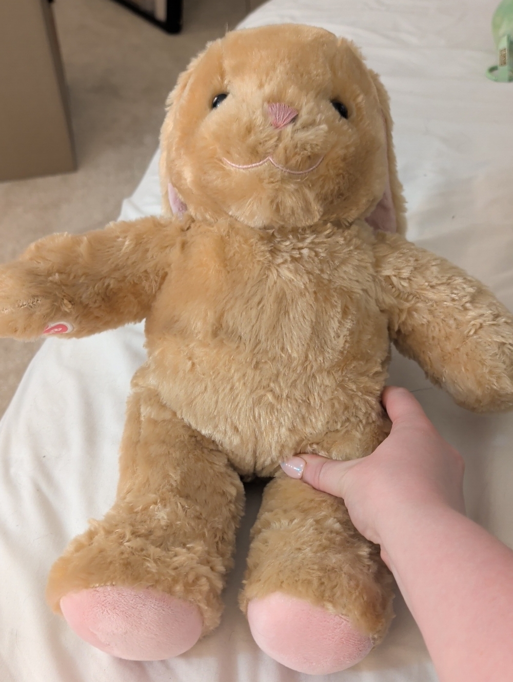 Build A Bear Pawlette Bunny